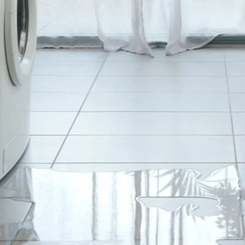 Appliance Leak Cleanup in Argos, IN