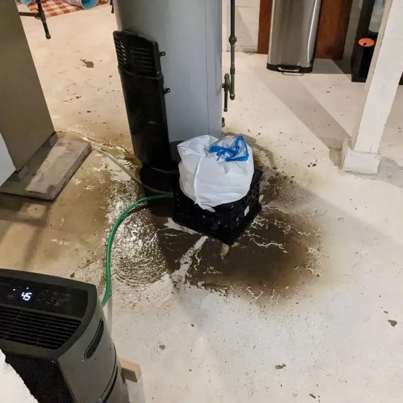 Sewage Backup Cleanup Service in Argos, IN